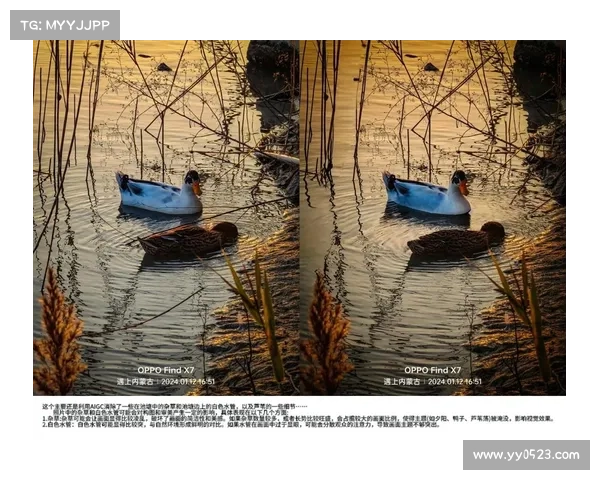 挑战极限眼力与智慧一起来玩猜图游戏开启你的视觉与思维双重冒险 挑战极限眼力与智慧一起来玩猜图游戏开启你的视觉与思维双重冒险