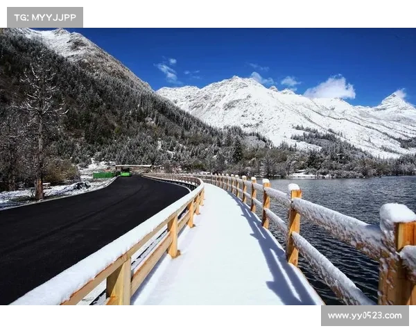 冬拥湖畔漫步探寻诗意景致的心灵之旅