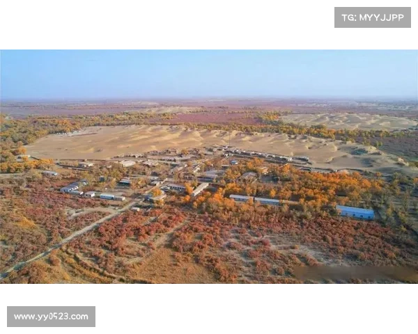 探寻斗战神上清观神秘力量的起源与影响之谜