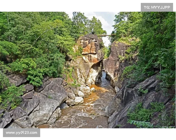 踏入神兽森林秘境开启古老传说中的五大奇幻探险之旅