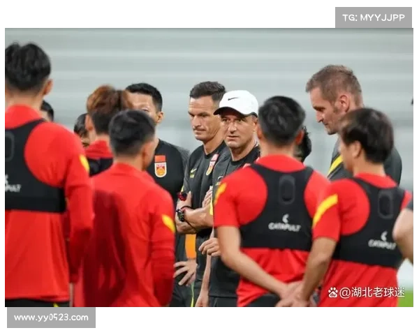 如何评价马来西亚归化球员在国家队中的表现与未来发展潜力